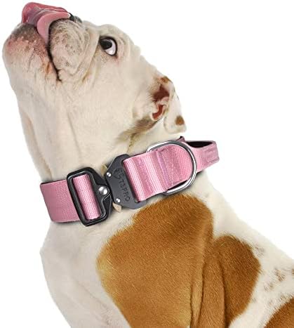 Saplı TSPRO Premium köpek Tasması Kalın köpek tasması Ayarlanabilir köpek Tasması Ağır Hizmet Tipi Hızlı Açılan Metal
