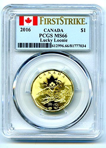 Kanada 1 $ Şanslı Loonie RİO OLİMPİYATLARI Dolaşımsız altın İLK VURUŞ EN İYİ NÜFUS Doları MS66 PCGS